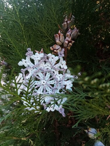 Snowflakes. Crochet pattern