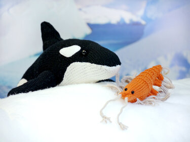 Arrluk the Orca / Killer Whale, knitting pattern