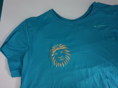 Plotterdatei "Löwenkopf" - Plotting