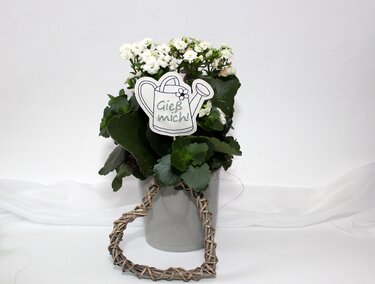 Stickdatei ITH Gieß mich Kanne Blumenstecker - Sticken