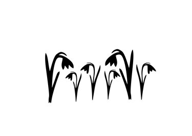 Schwarze minimalistische Silhouetten mehrerer hängender Schneeglöckchen auf weißem Hintergrund