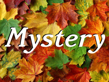 Doubleface Herbstlaubschal - Stricken