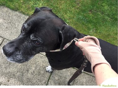 KIM fingerless gloves + optional mitten flap 5 sizes sewing pattern