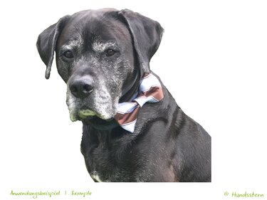 OSCAR Bow Tie for Dog Collar in 4 sizes. Sewing Pattern
