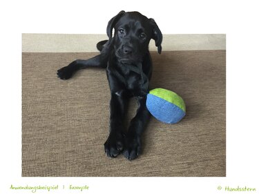 SPEIK Ball und Rugby Ball, je in 2 Größen. Nähanleitung + Schnitt - Bild 13