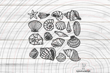 Muscheln Plotterdatei SVG DXF