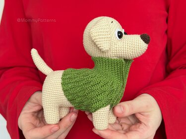 Labrador Puppy