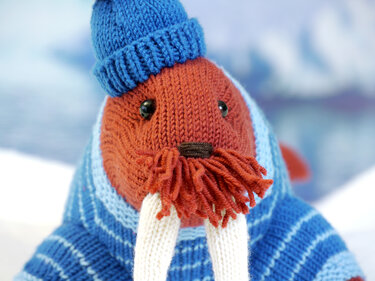 Akiak the Walrus knitting pattern