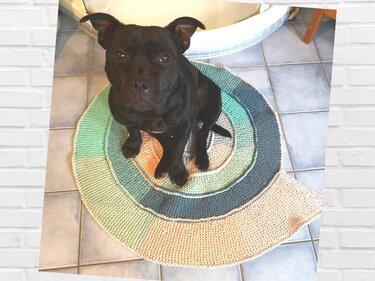 Schwarzer Hund auf rundem gestricktem Teppich in Mint, Hellblau und Beige auf Fliesenboden