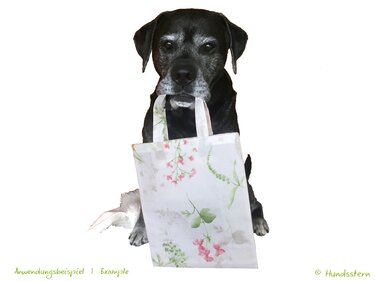 Puppi Tote Bag in 2 sizes, many options, Sewing Pattern