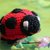 FELIX, the ladybug, pattern amigurumi pincushion