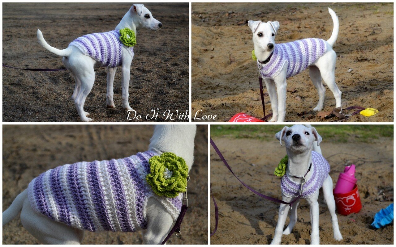 Häkelanleitung E-Book Hundepulli "Effie" in allen Größen