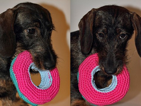 Häkelanleitung Hundespielzeug Wurfring "UFO" - PDF