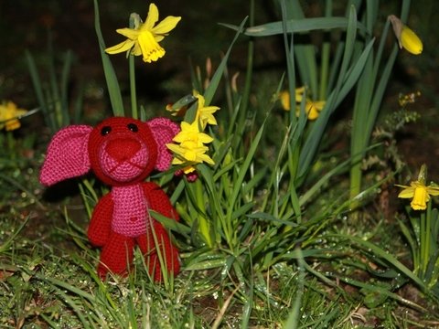 Schnuffel, der niedliche Hund