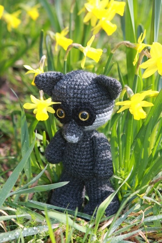 Dunkelgraues gehäkeltes Amigurumi mit sichtbarer Maschenstruktur und goldenen Sicherheitsaugen zwischen gelben Narzissen