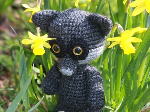 Saubär - der Waschbär