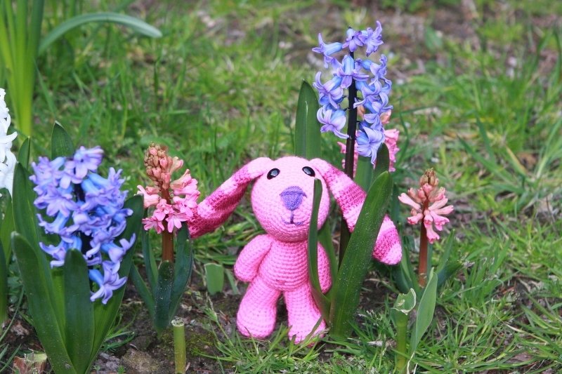 Rosa gehäkelter Amigurumi-Hase mit langen Ohren zwischen blauen und rosa Hyazinthen im Gras