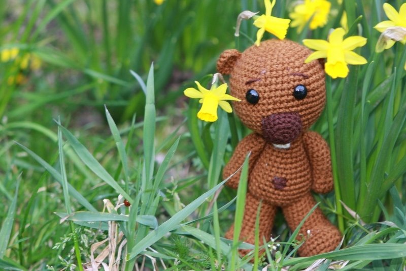 Brauner gehäkelter Amigurumi-Teddybär steht im Gras neben gelben Narzissen