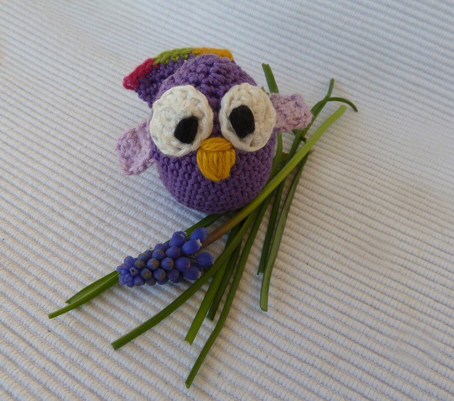 Piepmatz "Karolinchen" - Bild 6