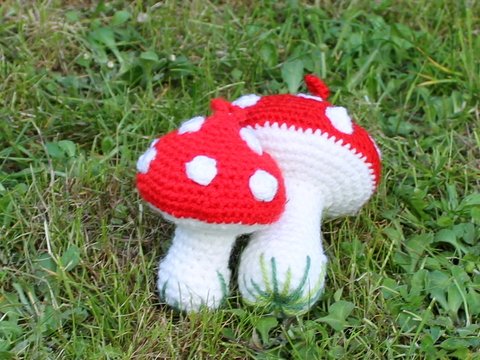 ebook Glückspilz in 2 Größen