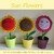 Sun Flowers Crochet Pattern