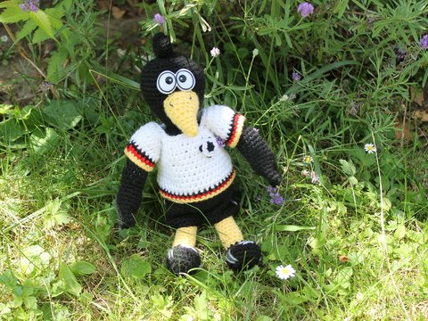 ebook 12. Mann, Rob der Rabe