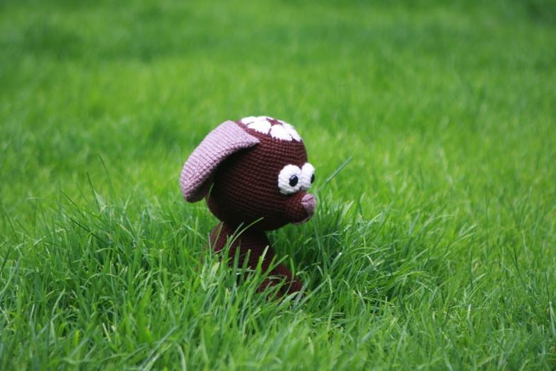 Willy Blume - Bild 4