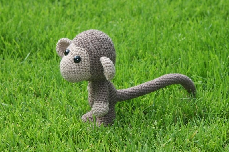 Äffchen Chimp - Bild 6