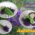 Strickanleitung Babyschuh "Lavendel"