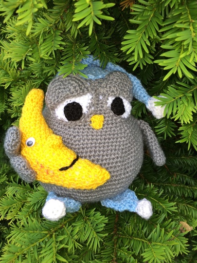 E-Book, Gute-Nacht-Eule, PDF