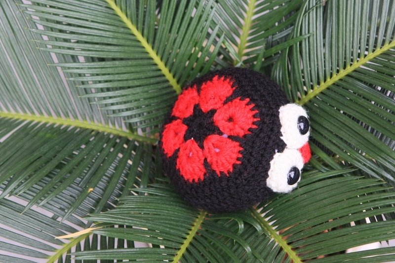 Blumenkäfer Marie - Bild 4