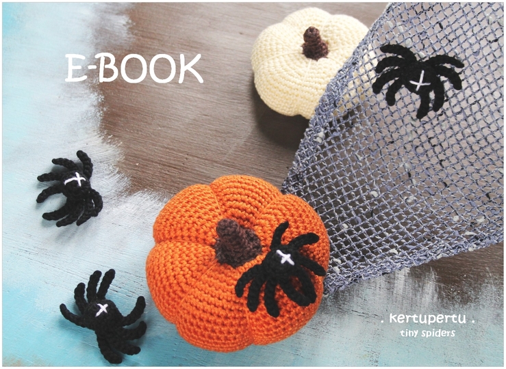 Kürbisse / Halloween / Herbst