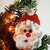 Wichtel Weihnachtsmann Button Christbaumschmuck Geschenkanhänger