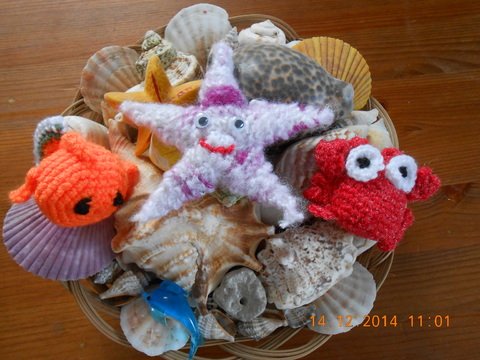 Strickanleitung Seestern