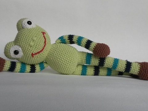 Schön-Wetter-Frosch Fridolin