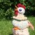 Strickanleitung Hahn, Amigurumi