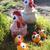 Strickanleitung Hühnerfamilie, Amigurumi Huhn, Amigurumi, Amigurumi Hühnerfamilie, Hahn, Kücken, Huhn, Henne