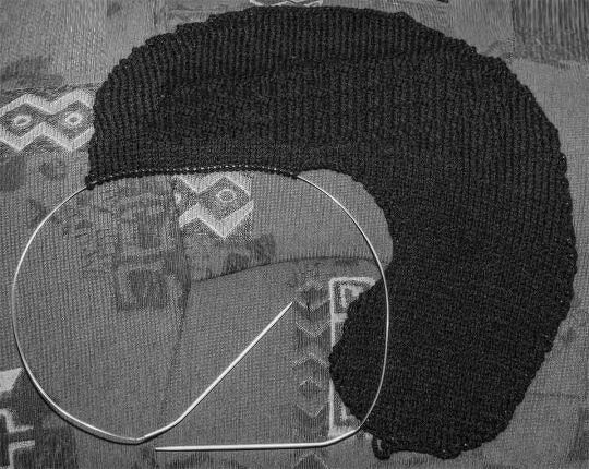 Gestricktes Nackenhörnchen