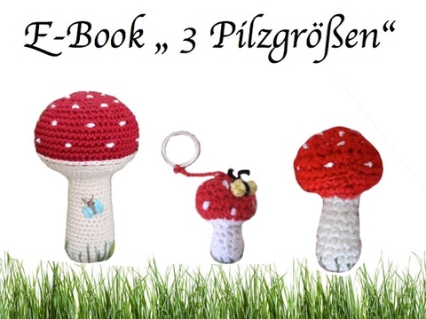 E- Book "3 Pilzgrößen" 
