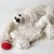 crochet pattern princess toy poodle dog by Katja Heinlein animal pdf file amigurumi ebook tutorial instruction guide