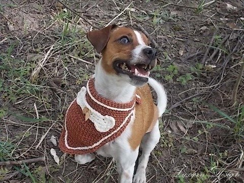 Häkelanleitung Hundehalstuch Dog Style Design No.5