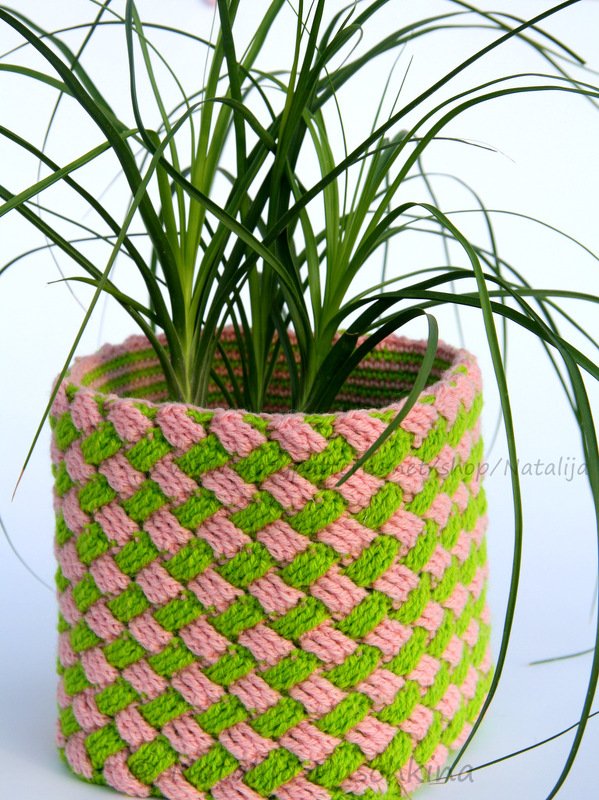 Gehäkelter Übertopf in Rosa und Grün mit Zimmerpflanze