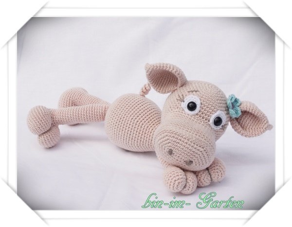 Schweinchen mit Blüte am Ohr - Bild 5