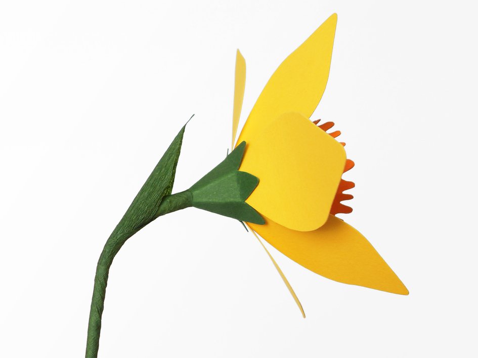 Papierblumen – Narzissen – Bastelanleitung und Vorlagen
