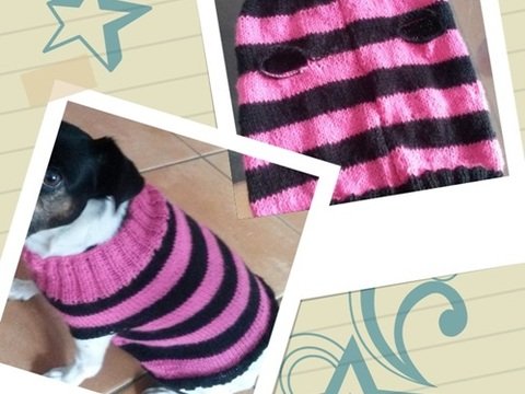 Strickanleitung Hundepulli rosa/schwarz, auch für Anfänger