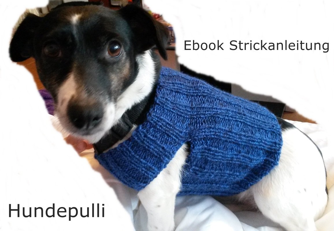 Strickanleitung Hundepuli- auch für Anfänger