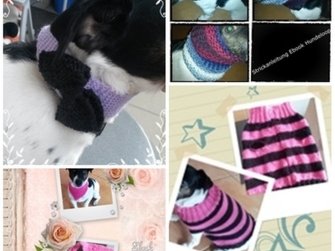 Strickanleitung für Hunde, 4 in 1 - Bild 3