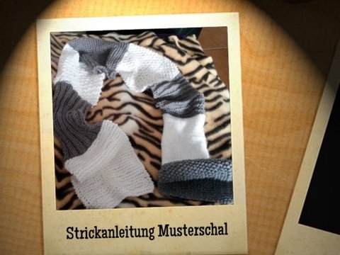 Strickanleitung Musterschal Strickschal