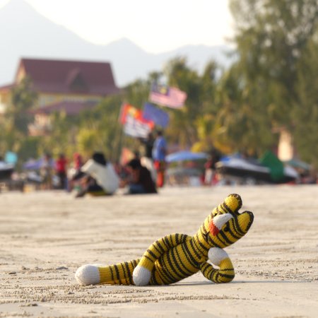 Lokman, der Tiger von Malaysia