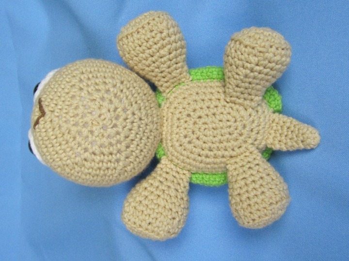 Baby Schildkröte Emma